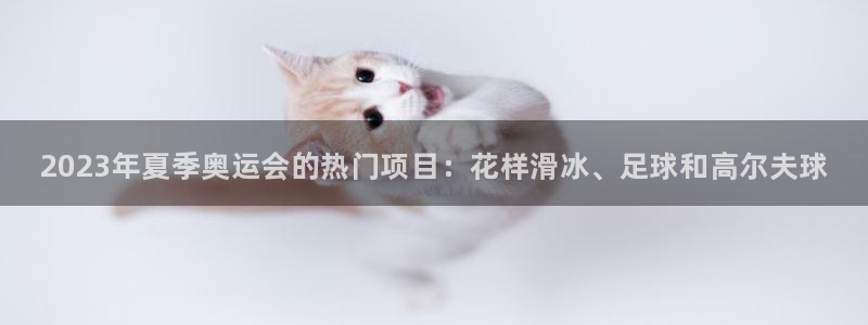 77体育官网
