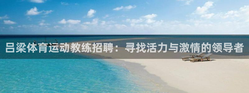 77体育app下载官网