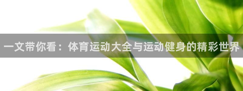 77体育