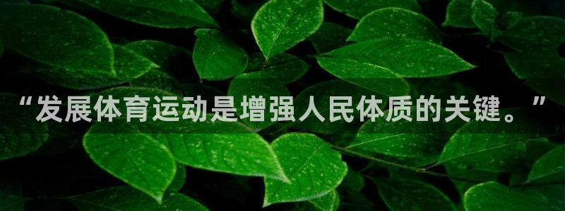 77体育官网