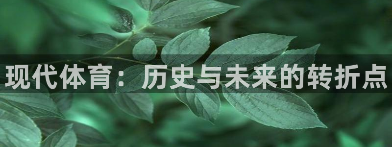 77体育