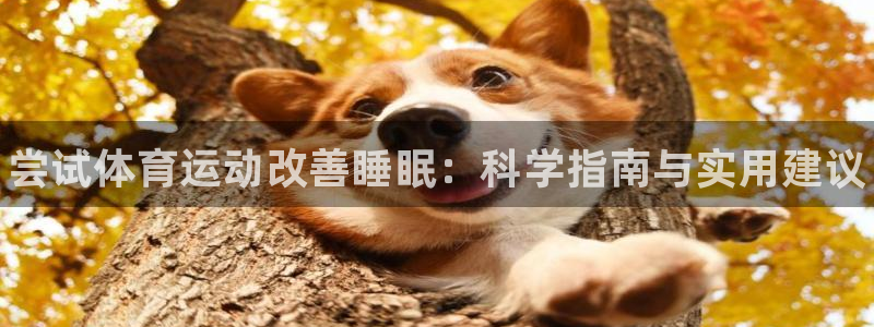 77体育app下载官网