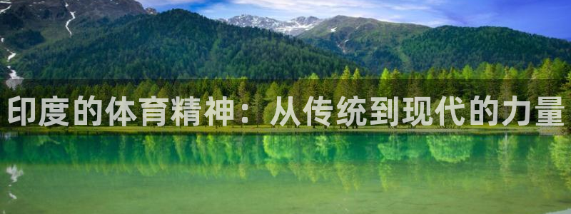 77体育app下载官网