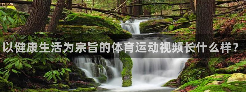 77体育官网