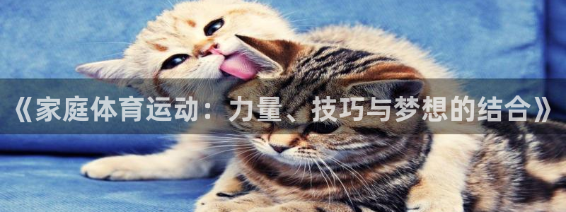 77体育app下载官网