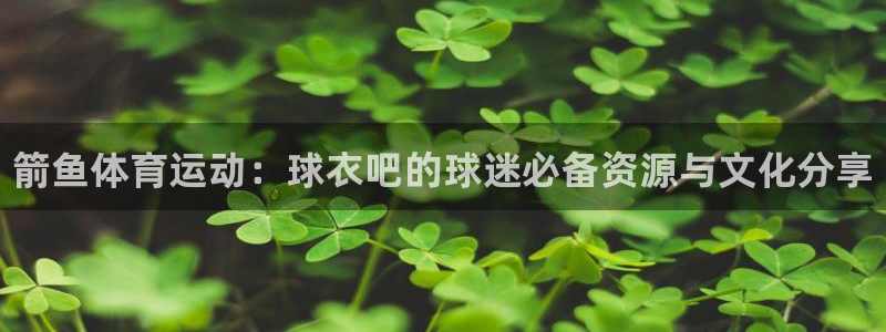皇冠277体育