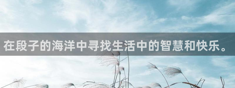 77体育app下载官网